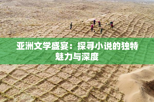 亚洲文学盛宴：探寻小说的独特魅力与深度