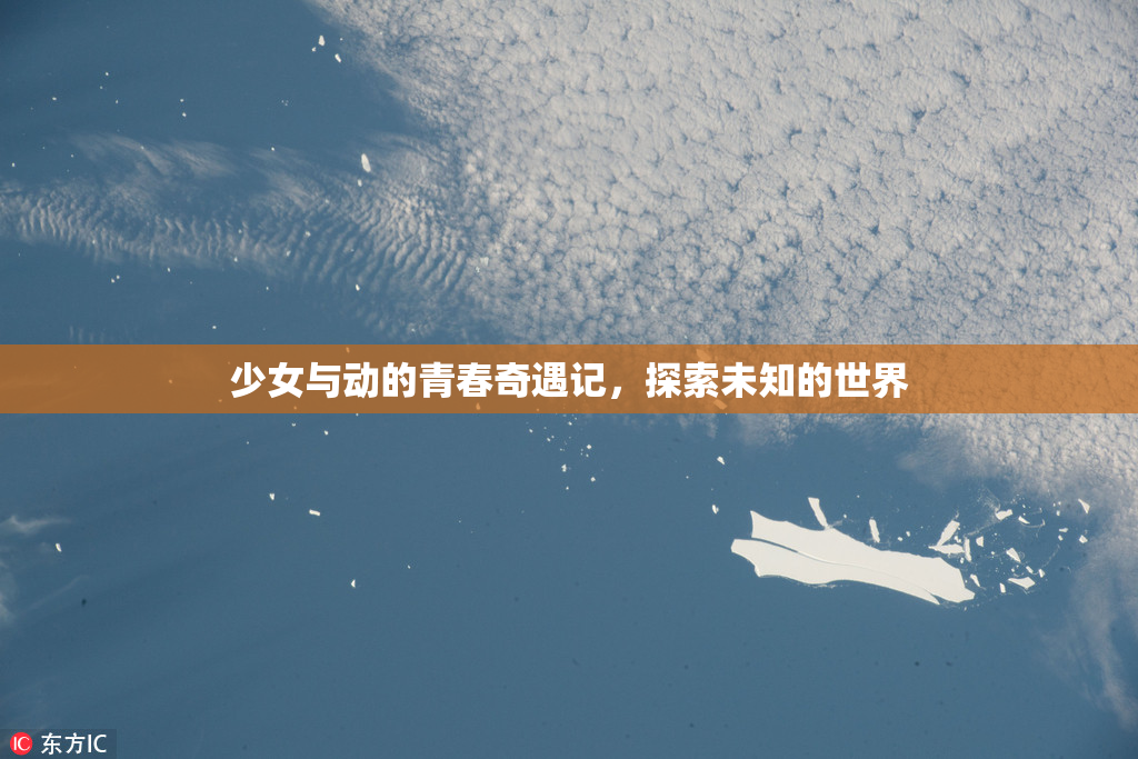 少女与动的青春奇遇记，探索未知的世界