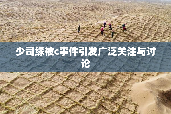 少司缘被c事件引发广泛关注与讨论