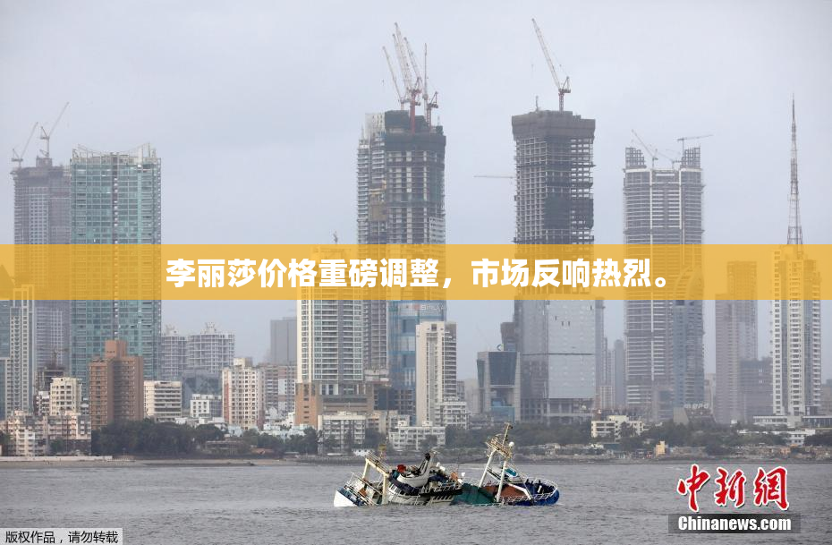 李丽莎价格重磅调整，市场反响热烈。