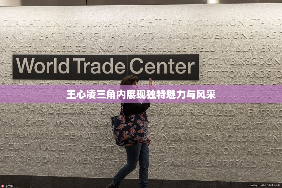王心凌三角内展现独特魅力与风采