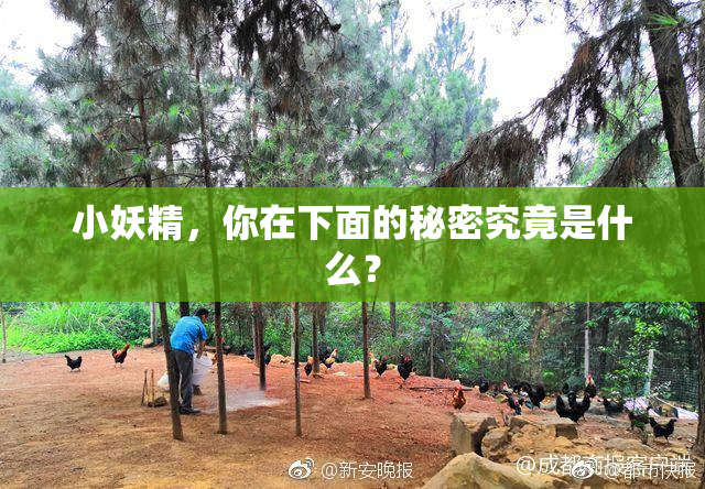小妖精，你在下面的秘密究竟是什么？