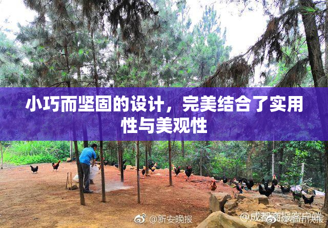 小巧而坚固的设计，完美结合了实用性与美观性