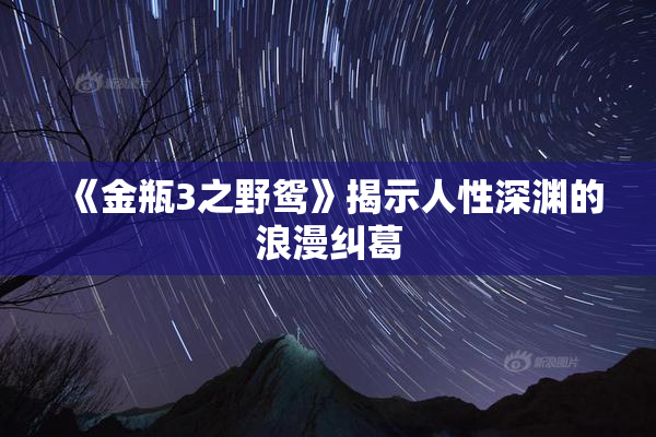 《金瓶3之野鸳》揭示人性深渊的浪漫纠葛