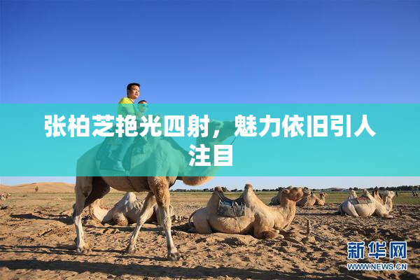 张柏芝艳光四射，魅力依旧引人注目