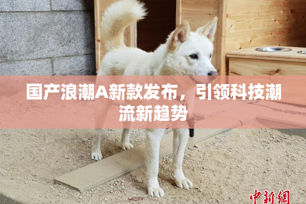 国产浪潮A新款发布，引领科技潮流新趋势