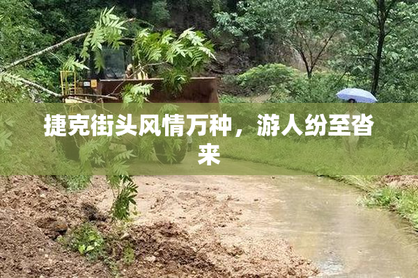 捷克街头风情万种，游人纷至沓来