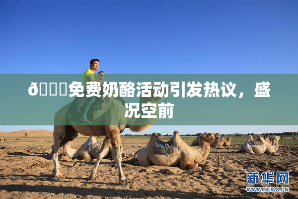 🔞免费奶酪活动引发热议，盛况空前