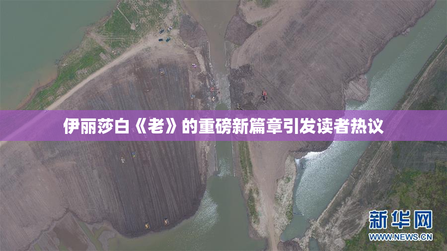 伊丽莎白《老》的重磅新篇章引发读者热议
