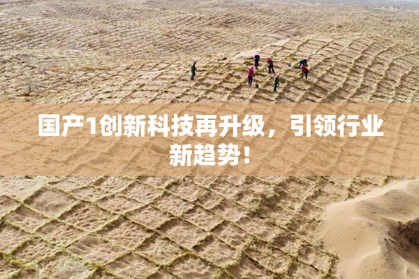 国产1创新科技再升级，引领行业新趋势！