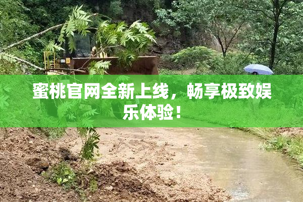 蜜桃官网全新上线，畅享极致娱乐体验！