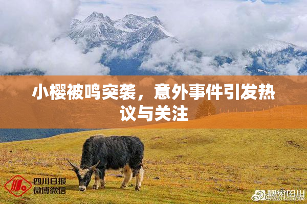 小樱被鸣突袭，意外事件引发热议与关注
