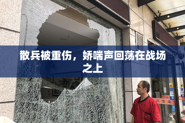 散兵被重伤，娇喘声回荡在战场之上