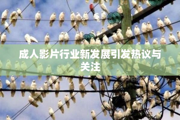 成人影片行业新发展引发热议与关注