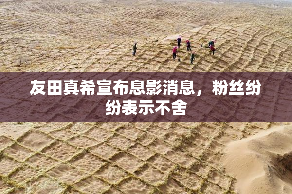 友田真希宣布息影消息，粉丝纷纷表示不舍