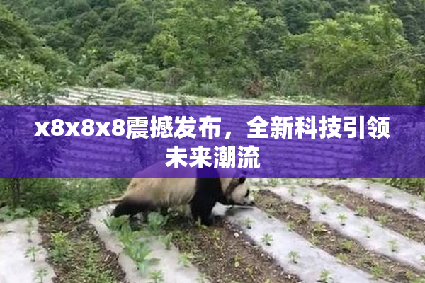 x8x8x8震撼发布，全新科技引领未来潮流