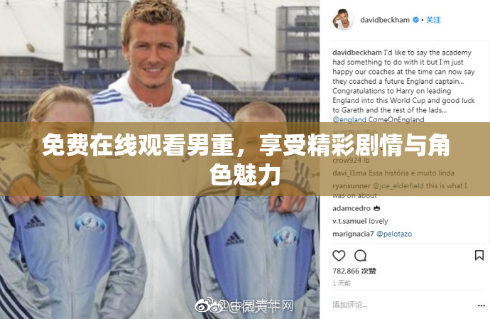 免费在线观看男重，享受精彩剧情与角色魅力
