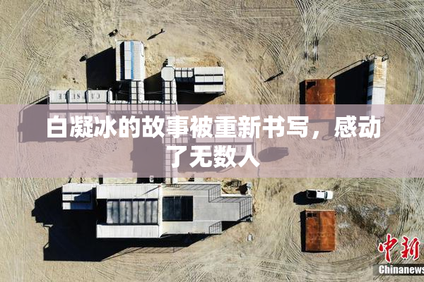 白凝冰的故事被重新书写，感动了无数人