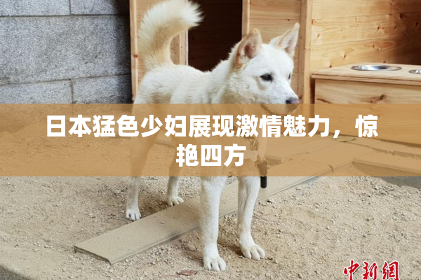 日本猛色少妇展现激情魅力，惊艳四方