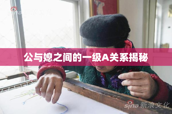 公与媳之间的一级A关系揭秘