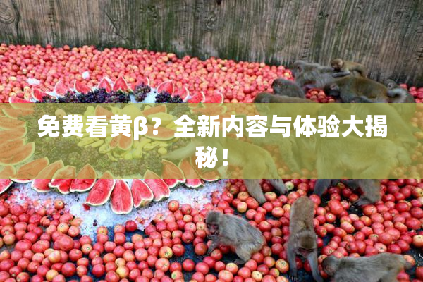免费看黄β？全新内容与体验大揭秘！