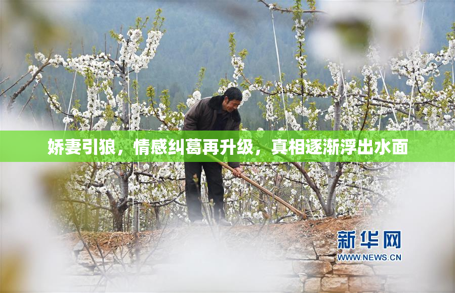 娇妻引狼，情感纠葛再升级，真相逐渐浮出水面