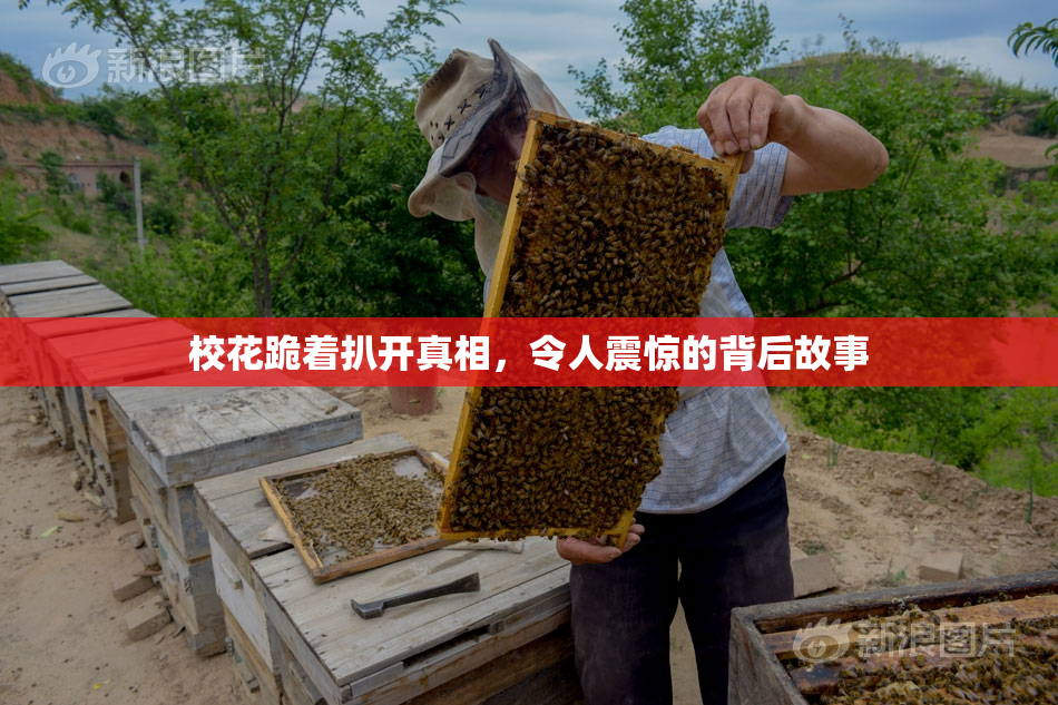 校花跪着扒开真相，令人震惊的背后故事