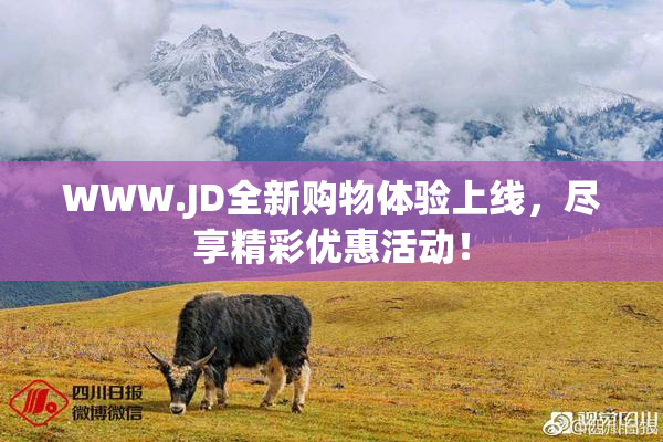 WWW.JD全新购物体验上线，尽享精彩优惠活动！