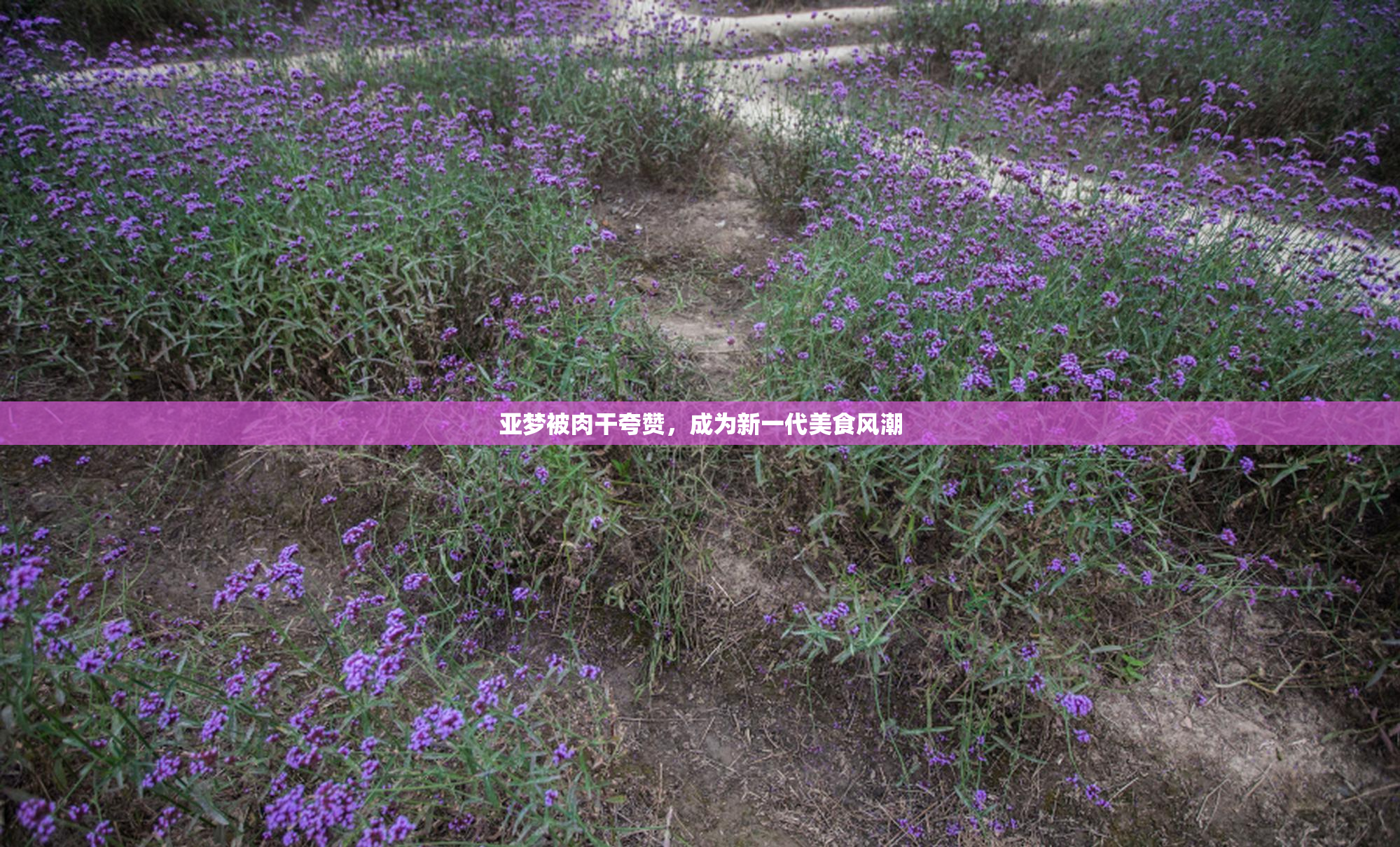 亚梦被肉干夸赞，成为新一代美食风潮