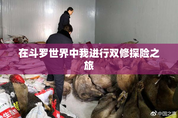 在斗罗世界中我进行双修探险之旅
