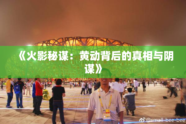 《火影秘谋：黄动背后的真相与阴谋》