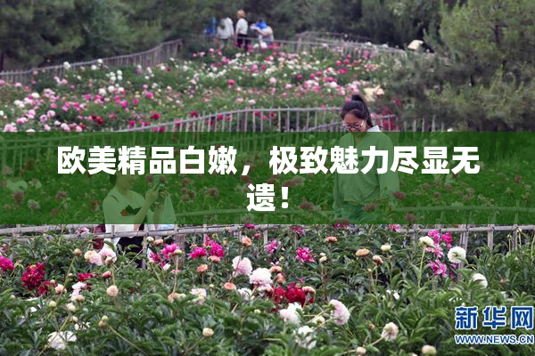 欧美精品白嫩，极致魅力尽显无遗！