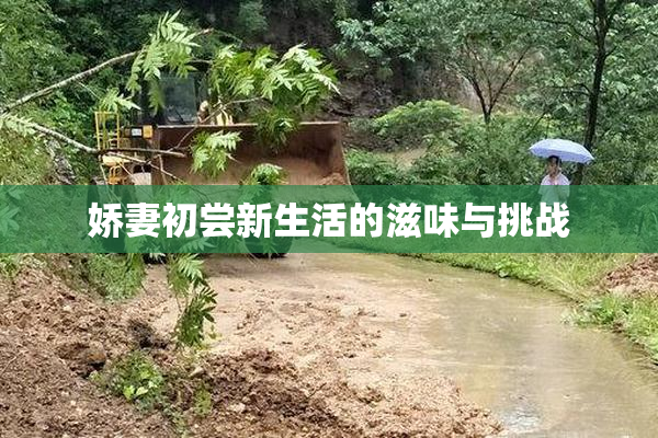 娇妻初尝新生活的滋味与挑战