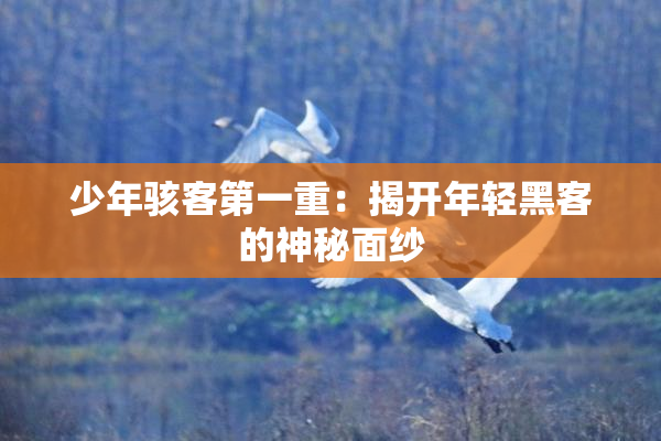 少年骇客第一重：揭开年轻黑客的神秘面纱