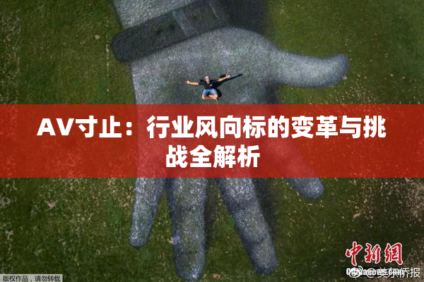 AV寸止：行业风向标的变革与挑战全解析