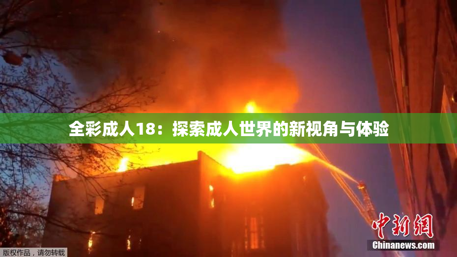 全彩成人18：探索成人世界的新视角与体验
