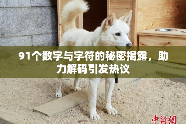 91个数字与字符的秘密揭露，助力解码引发热议