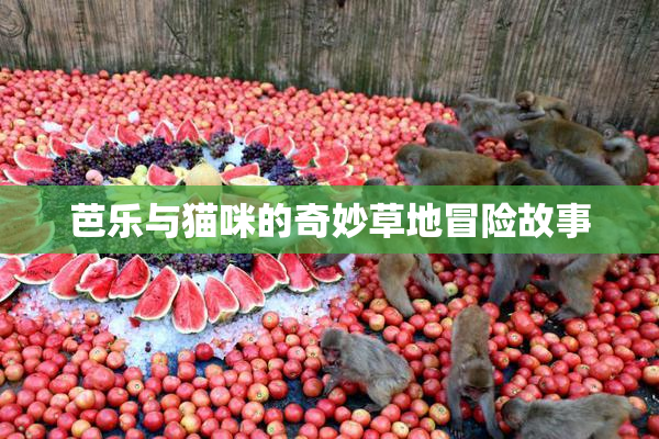 芭乐与猫咪的奇妙草地冒险故事