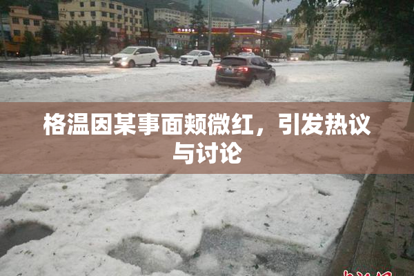 格温因某事面颊微红，引发热议与讨论