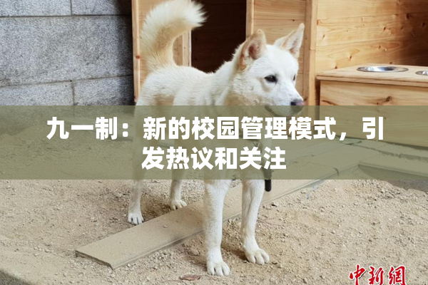 九一制：新的校园管理模式，引发热议和关注