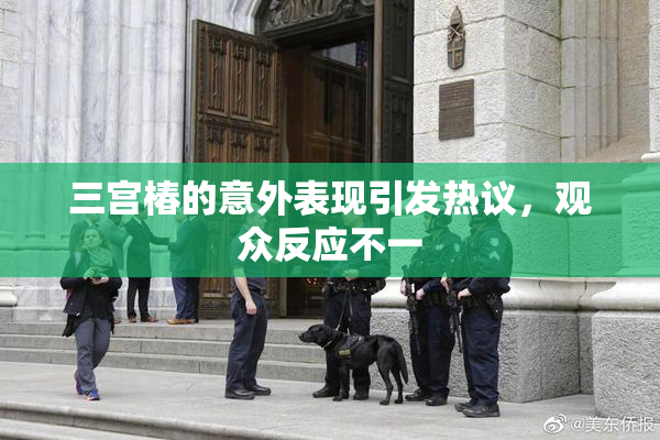 三宫椿的意外表现引发热议，观众反应不一