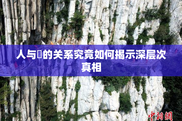 人与嘼的关系究竟如何揭示深层次真相