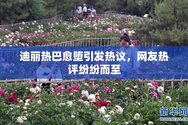 迪丽热巴愈堕引发热议，网友热评纷纷而至