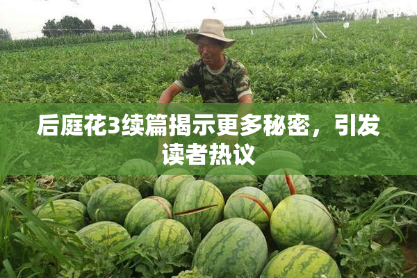 后庭花3续篇揭示更多秘密，引发读者热议