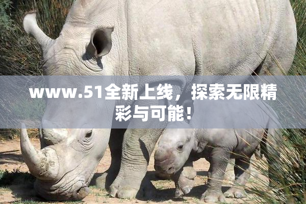 www.51全新上线，探索无限精彩与可能！