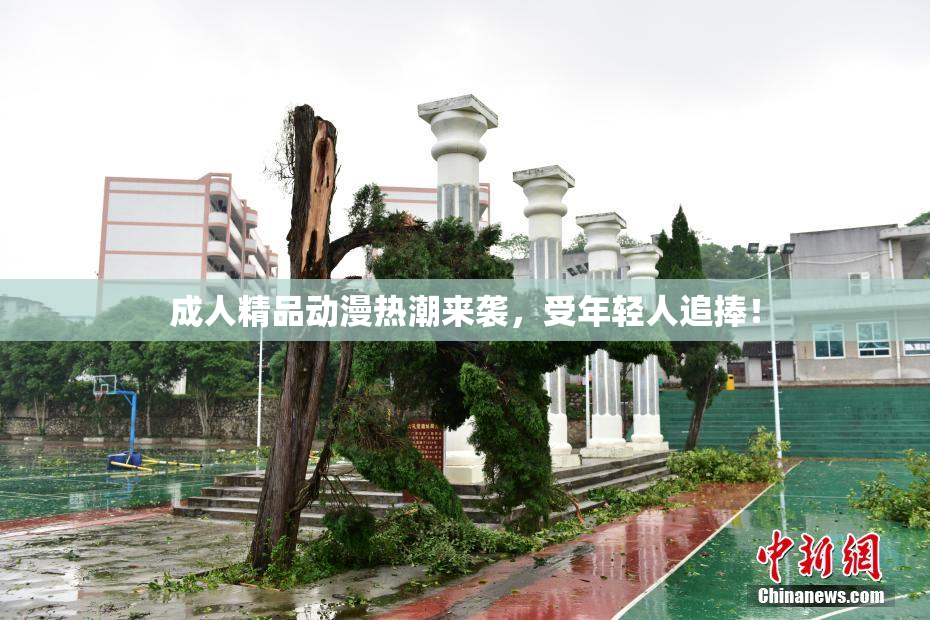 成人精品动漫热潮来袭，受年轻人追捧！