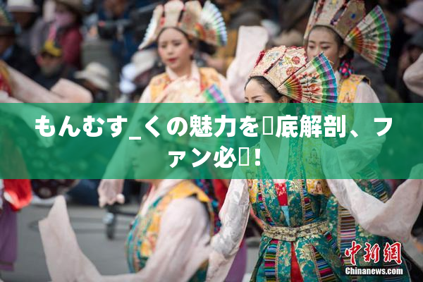もんむす_くの魅力を徹底解剖、ファン必見！