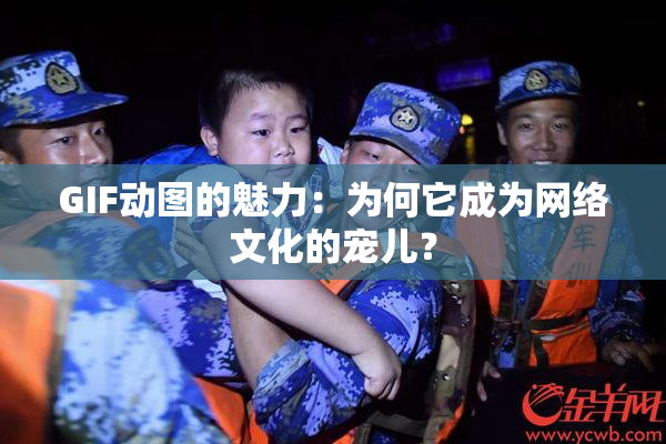 GIF动图的魅力：为何它成为网络文化的宠儿？