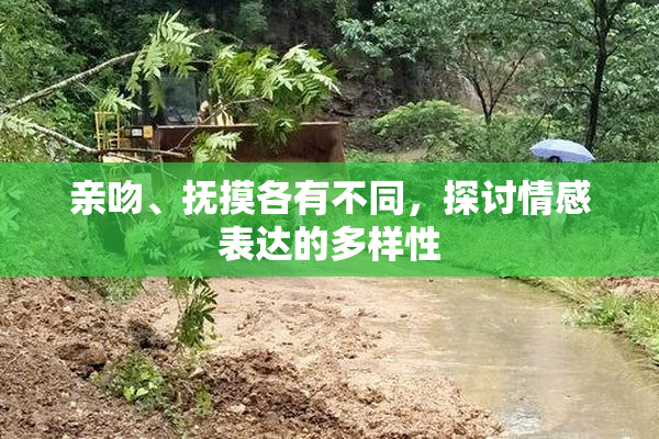 亲吻、抚摸各有不同，探讨情感表达的多样性