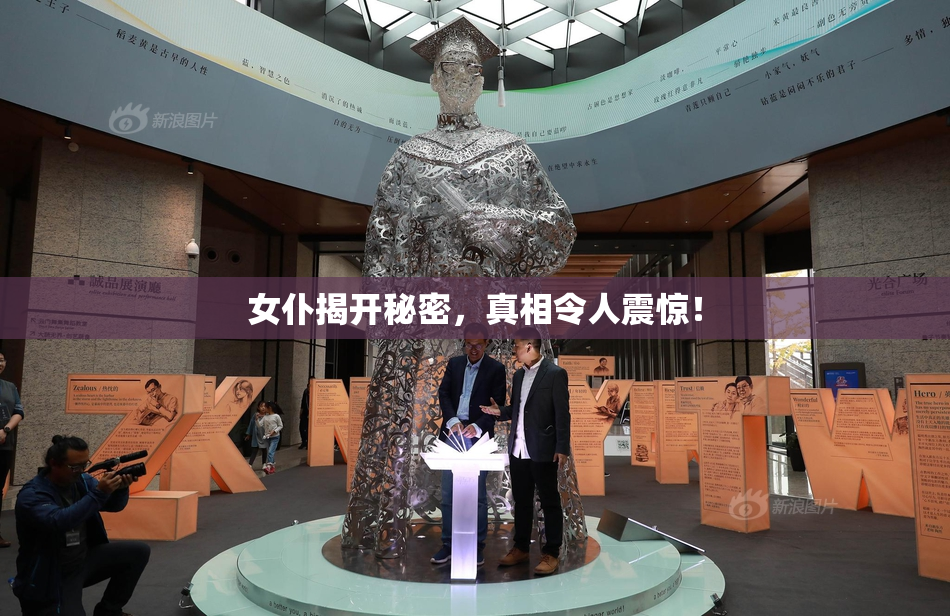 女仆揭开秘密，真相令人震惊！